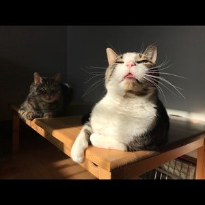 Meet your Posher, Marc